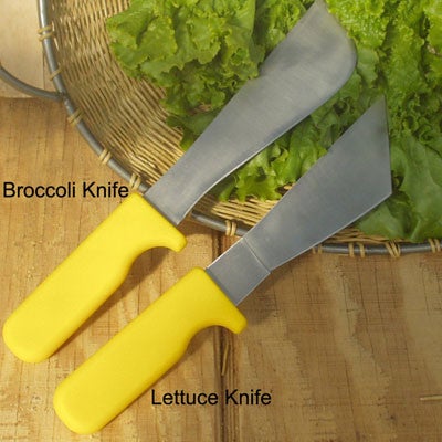 LETTUCE KNIFE STAINLESS Yellow Hndl KN-412SY