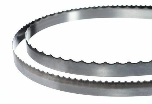 Hard Scallop Band 205 x 1 .035 (Box with 10 units) 17' 1'' - Innovations Parts Service,LLC